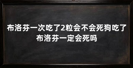 布洛芬一次吃了2粒会不会死狗吃了布洛芬一定会死吗