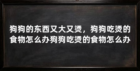 狗狗的东西又大又烫，狗狗吃烫的食物怎么办狗狗吃烫的食物怎么办