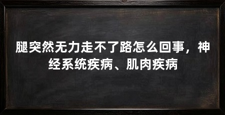 腿突然无力走不了路怎么回事，神经系统疾病、肌肉疾病