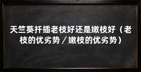 天竺葵扦插老枝好还是嫩枝好（老枝的优劣势／嫩枝的优劣势）