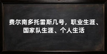 费尔南多托雷斯几号，职业生涯、国家队生涯、个人生活