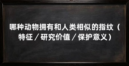 哪种动物拥有和人类相似的指纹（特征／研究价值／保护意义）