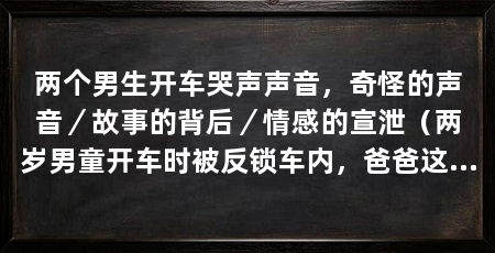 两个男生开车哭声声音，奇怪的声音／故事的背后／情感的宣泄（两岁男童开车时被反锁车内，爸爸这背后可能有多种原因