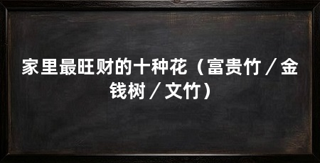 家里最旺财的十种花(富贵竹/金钱树/文竹)
