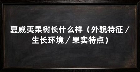 夏威夷果树长什么样(外貌特征/生长环境/果实特点)