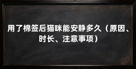 用了棉签后猫咪能安静多久（原因、时长、注意事项）