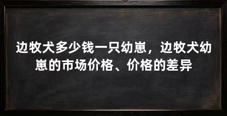 边牧犬多少钱一只幼崽,边牧犬幼崽的市场价格、价格的差异
