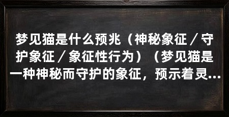 梦见猫是什么预兆（神秘象征／守护象征／象征性行为）（梦见猫是一种神秘而守护的象征，预示着灵性的觉醒和心灵的平静
