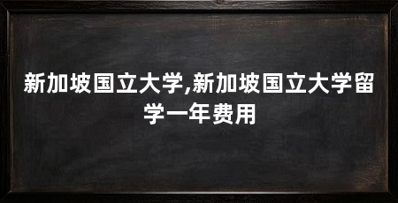 新加坡国立大学,新加坡国立大学留学一年费用