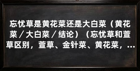忘忧草是黄花菜还是大白菜（黄花菜／大白菜／结论）（忘忧草和萱草区别，萱草、金针菜、黄花菜，又名健脑菜
