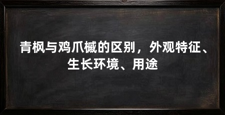青枫与鸡爪槭的区别，外观特征、生长环境、用途