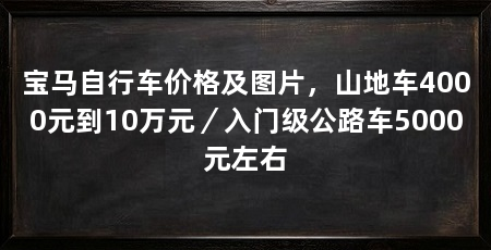 宝马自行车价格及图片，山地车4000元到10万元／入门级公路车5000元左右