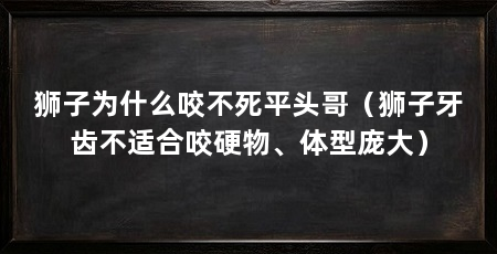 狮子为什么咬不死平头哥(狮子牙齿不适合咬硬物、体型庞大)