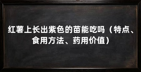 红薯上长出紫色的苗能吃吗（特点、食用方法、药用价值）