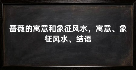 蔷薇的寓意和象征风水，寓意、象征风水、结语