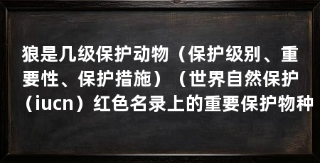 狼是几级保护动物（保护级别、重要性、保护措施）（世界自然保护（iucn）红色名录上的重要保护物种