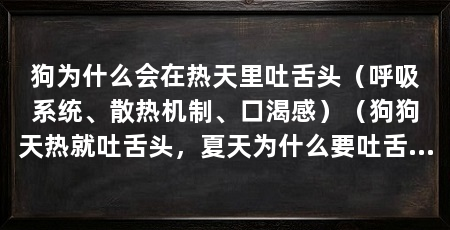 狗为什么会在热天里吐舌头(呼吸系统、散热机制、口渴感)(狗狗天热就吐舌头,夏天为什么要吐舌头,除了散热还有什么原因呢