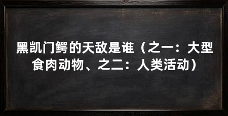 黑凯门鳄的天敌是谁（之一：大型食肉动物、之二：人类活动）