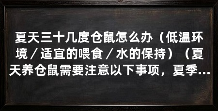 夏天三十几度仓鼠怎么办(低温环境/适宜的喂食/水的保持)(夏天养仓鼠需要注意以下事项,夏季养仓鼠需要注意的事项