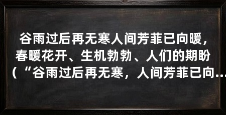 谷雨过后再无寒人间芳菲已向暖，春暖花开、生机勃勃、人们的期盼（“谷雨过后再无寒，人间芳菲已向暖”是什么意思