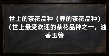 世上的茶花品种（养的茶花品种）（世上最受欢迎的茶花品种之一，油香玉簪