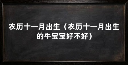 农历十一月出生（农历十一月出生的牛宝宝好不好）