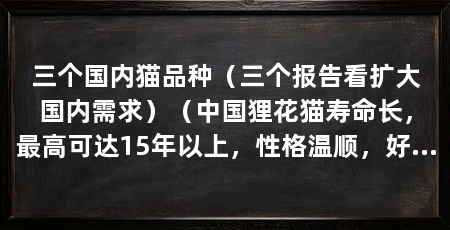三个国内猫品种（三个报告看扩大国内需求）（中国狸花猫寿命长，最高可达15年以上，性格温顺，好动喜欢玩耍