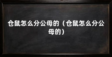 仓鼠怎么分公母的（仓鼠怎么分公母的）