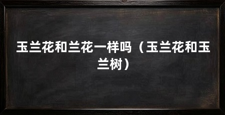 玉兰花和兰花一样吗(玉兰花和玉兰树)