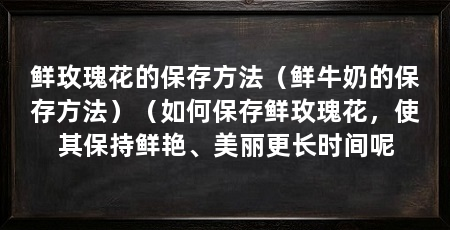 鲜玫瑰花的保存方法(鲜牛奶的保存方法)(如何保存鲜玫瑰花,使其保持鲜艳、美丽更长时间呢