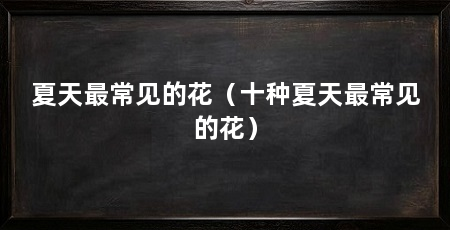 夏天最常见的花（十种夏天最常见的花）