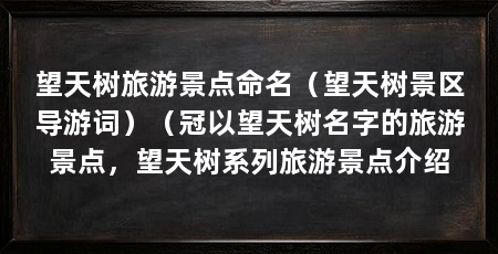 望天树旅游景点命名（望天树景区导游词）（冠以望天树名字的旅游景点，望天树系列旅游景点介绍