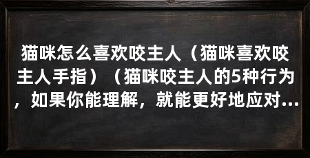 猫咪怎么喜欢咬主人(猫咪喜欢咬主人手指)(猫咪咬主人的5种行为,如果你能理解,就能更好地应对这种行为