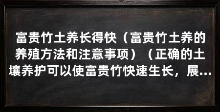 富贵竹土养长得快(富贵竹土养的养殖方法和注意事项)(正确的土壤养护可以使富贵竹快速生长,展现出繁荣富贵的气质