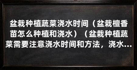 盆栽种植蔬菜浇水时间(盆栽檀香苗怎么种植和浇水)(盆栽种植蔬菜需要注意浇水时间和方法,浇水时间和方法是关键