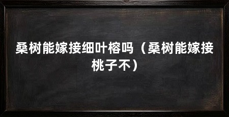 桑树能嫁接细叶榕吗（桑树能嫁接桃子不）
