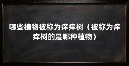 哪些植物被称为痒痒树(被称为痒痒树的是哪种植物)