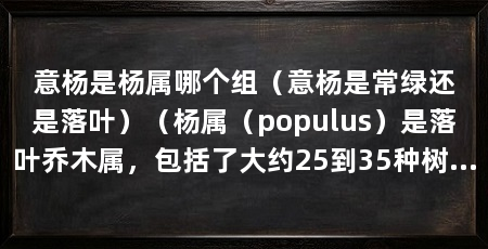 意杨是杨属哪个组(意杨是常绿还是落叶)(杨属(populus)是落叶乔木属,包括了大约25到35种树种