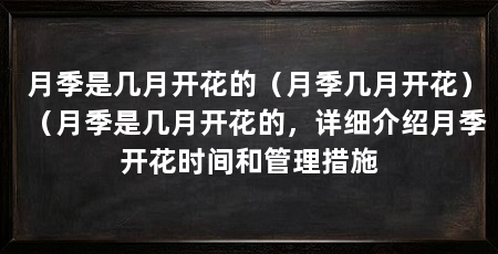 月季是几月开花的(月季几月开花)(月季是几月开花的,详细介绍月季开花时间和管理措施