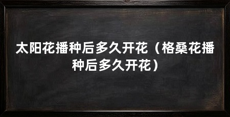 太阳花播种后多久开花（格桑花播种后多久开花）