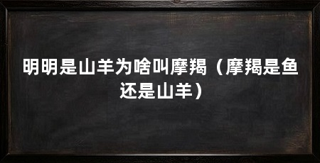 明明是山羊为啥叫摩羯（摩羯是鱼还是山羊）