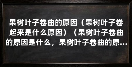 果树叶子卷曲的原因(果树叶子卷起来是什么原因)(果树叶子卷曲的原因是什么,果树叶子卷曲的原因有哪些