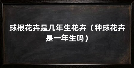 球根花卉是几年生花卉（种球花卉是一年生吗）