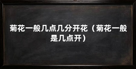 菊花一般几点几分开花（菊花一般是几点开）