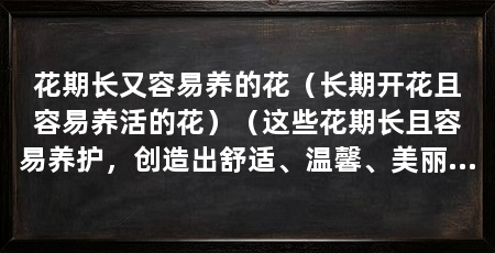 花期长又容易养的花（长期开花且容易养活的花）（这些花期长且容易养护，创造出舒适、温馨、美丽的空间