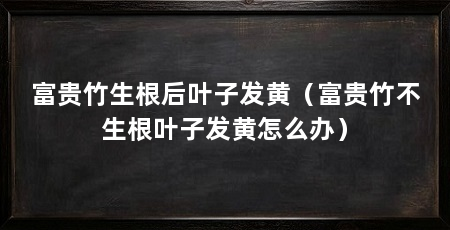 富贵竹生根后叶子发黄（富贵竹不生根叶子发黄怎么办）