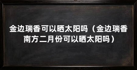 金边瑞香可以晒太阳吗（金边瑞香南方二月份可以晒太阳吗）