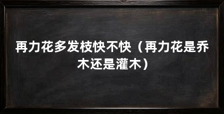 再力花多发枝快不快(再力花是乔木还是灌木)