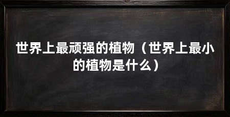 世界上最顽强的植物（世界上最小的植物是什么）