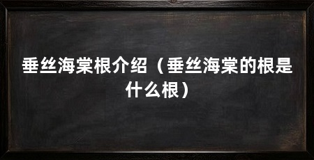 垂丝海棠根介绍(垂丝海棠的根是什么根)
